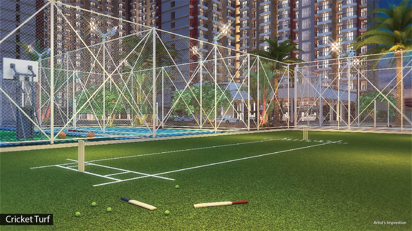 Amenity - Cricket turfs